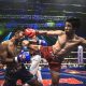 Muay Thai scheduled to return to the ring in June.